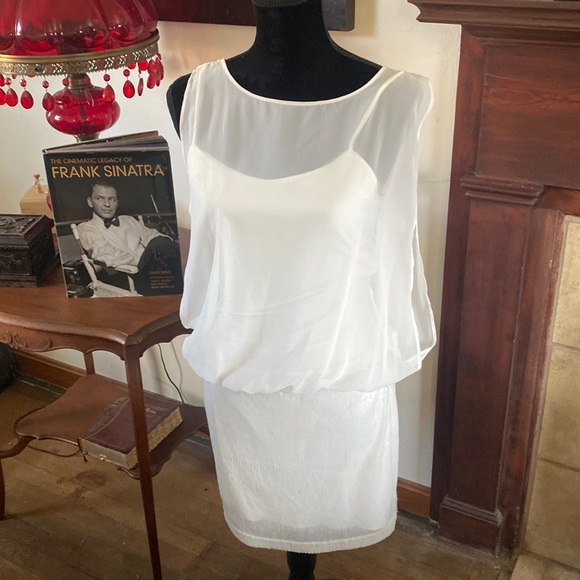 🦊 B Smart cream dress. Half body is sequined. - Picture 1 of 5